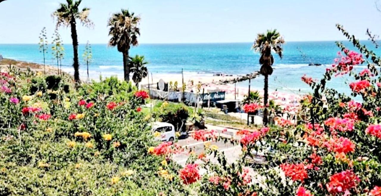 Apart Hotel Tlv/Bat Yam Beach Front 1207 エクステリア 写真